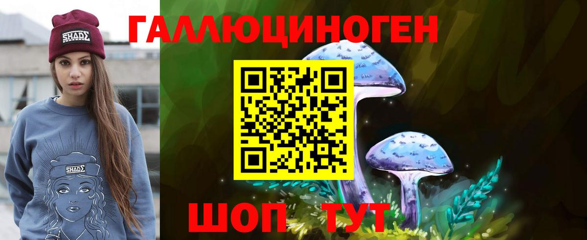 Псилоцибиновые грибы Psilocybine cubensis Березники